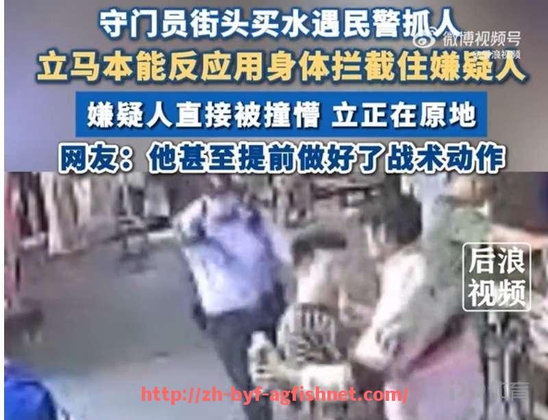 AG捕鱼王官网-哪些德甲球队有能力争夺联赛冠军？