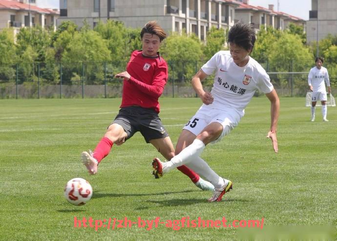 AG捕鱼王官网-法甲外援市场最新动态与球员转会影响力分析