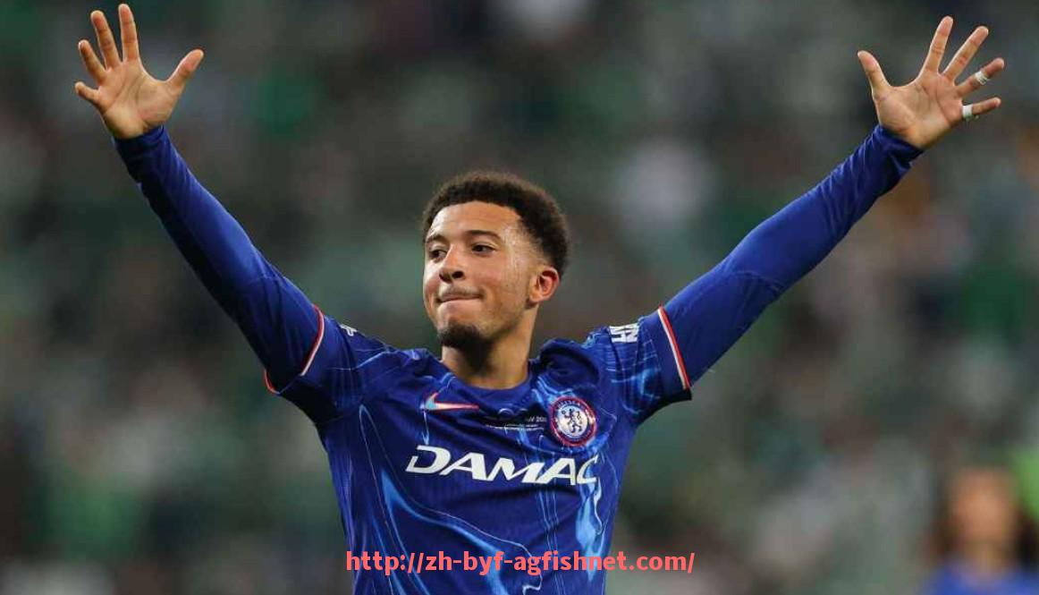 AG捕鱼王官网-法甲外援适应联赛环境与战术体系的能力评估报告